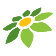 HK